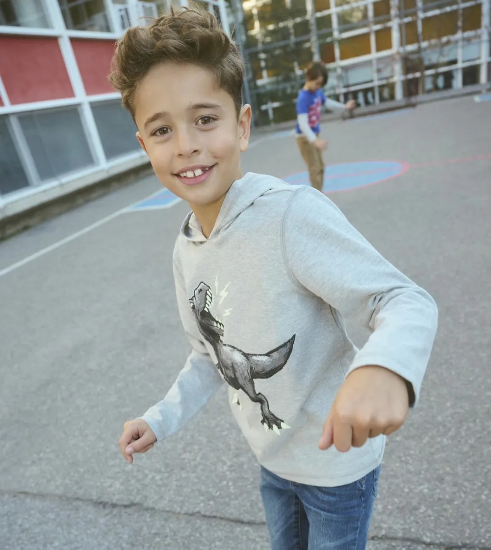 Hatley Glow in The Dark Long Sleeved Dino Graphic Tee : Size 2 to 10 Years