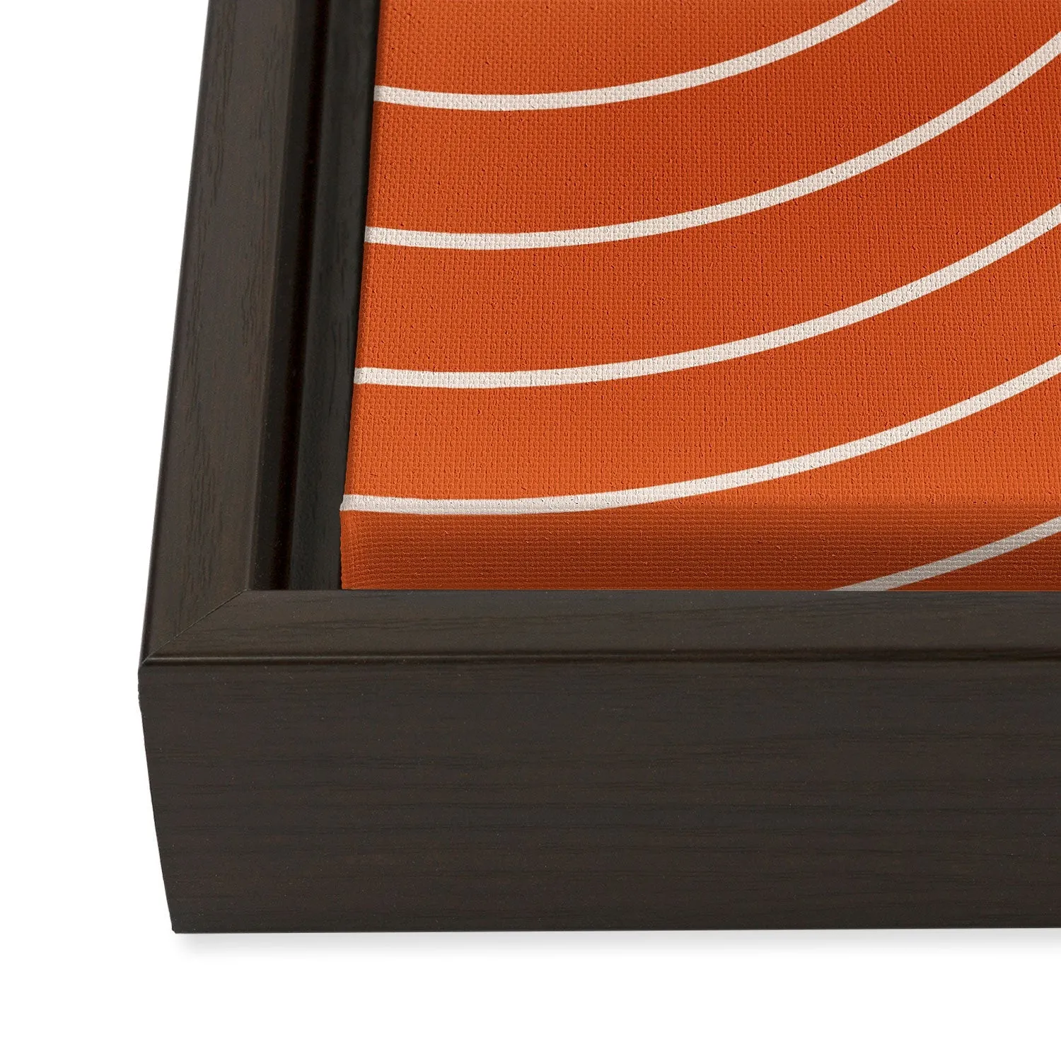 Minimal Line Curvature Coral Art Canvas