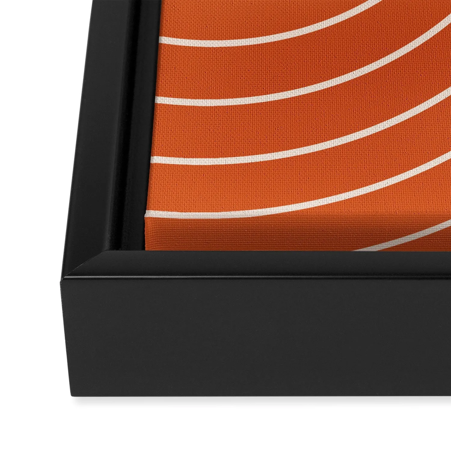 Minimal Line Curvature Coral Art Canvas