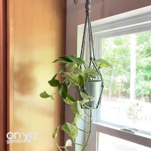 Modern No-Tail Macrame Plant Hanger - Short 22" Length