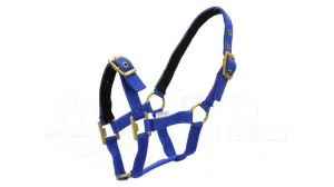 Nylon Miniature Headstall Blue
