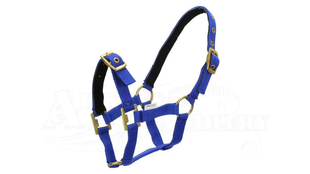 Nylon Miniature Headstall Blue