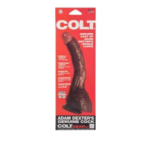 Porn Star Colt Adam Dexter's Genuine Cock - Brown