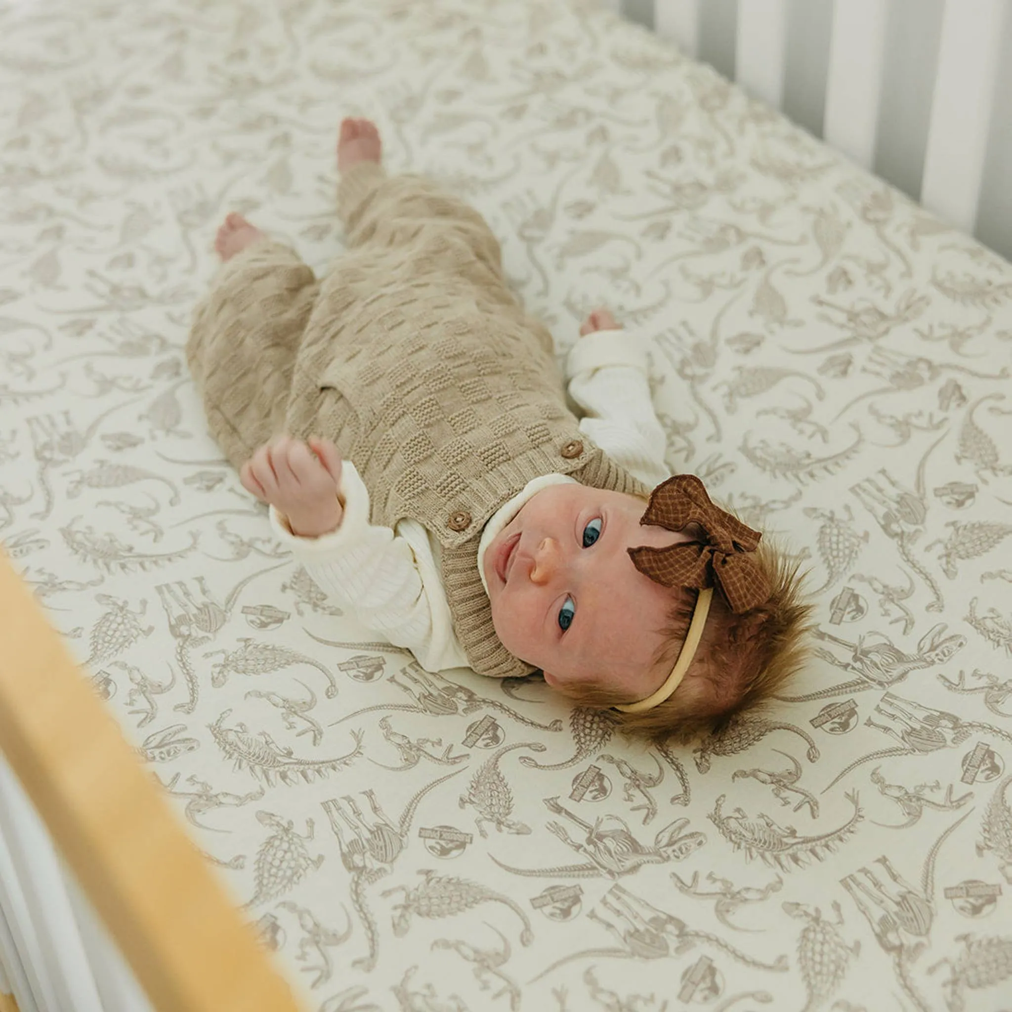 Premium Knit Fitted Crib Sheet - Jurassic Park Fossils