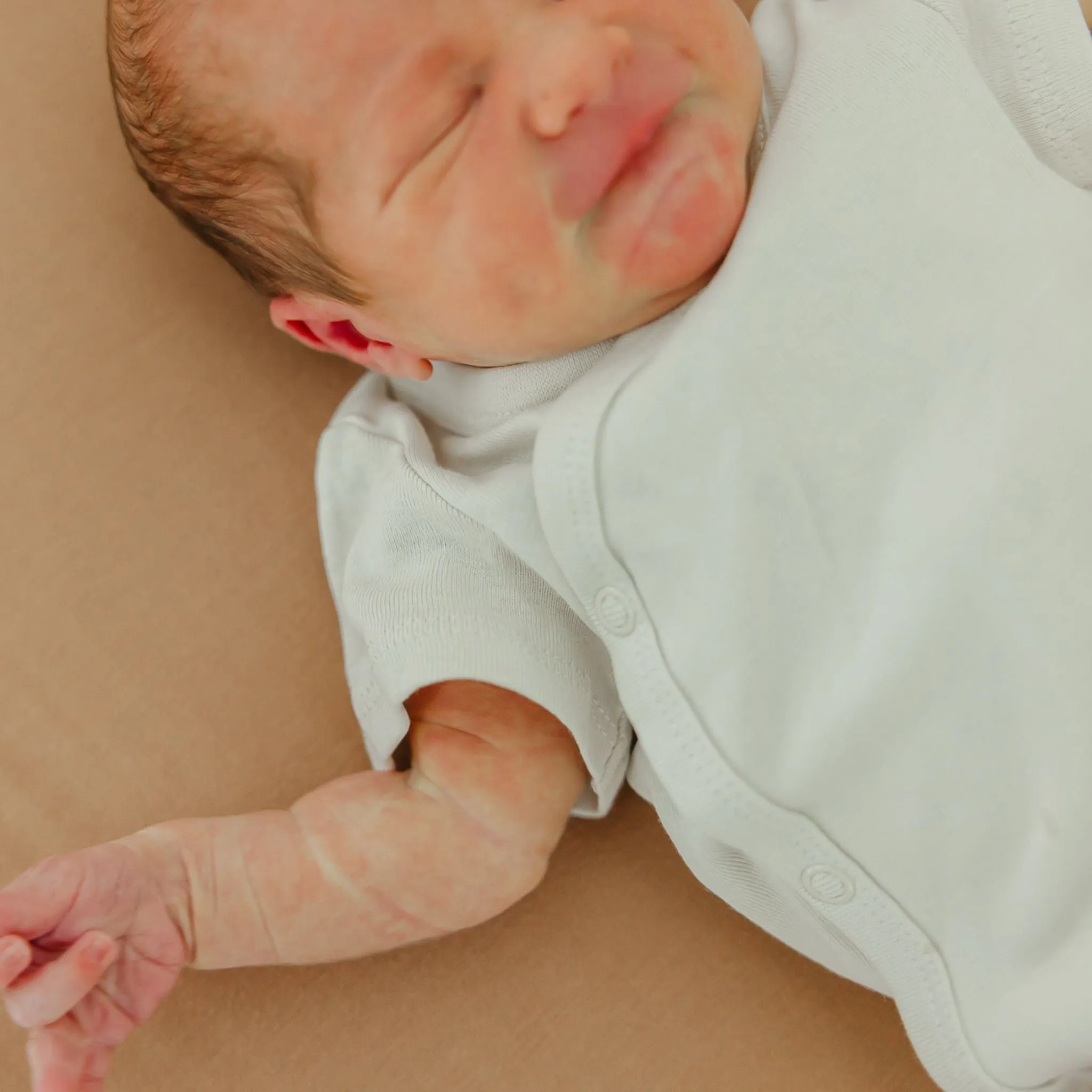 Premium Knit Fitted Crib Sheet - Pecan