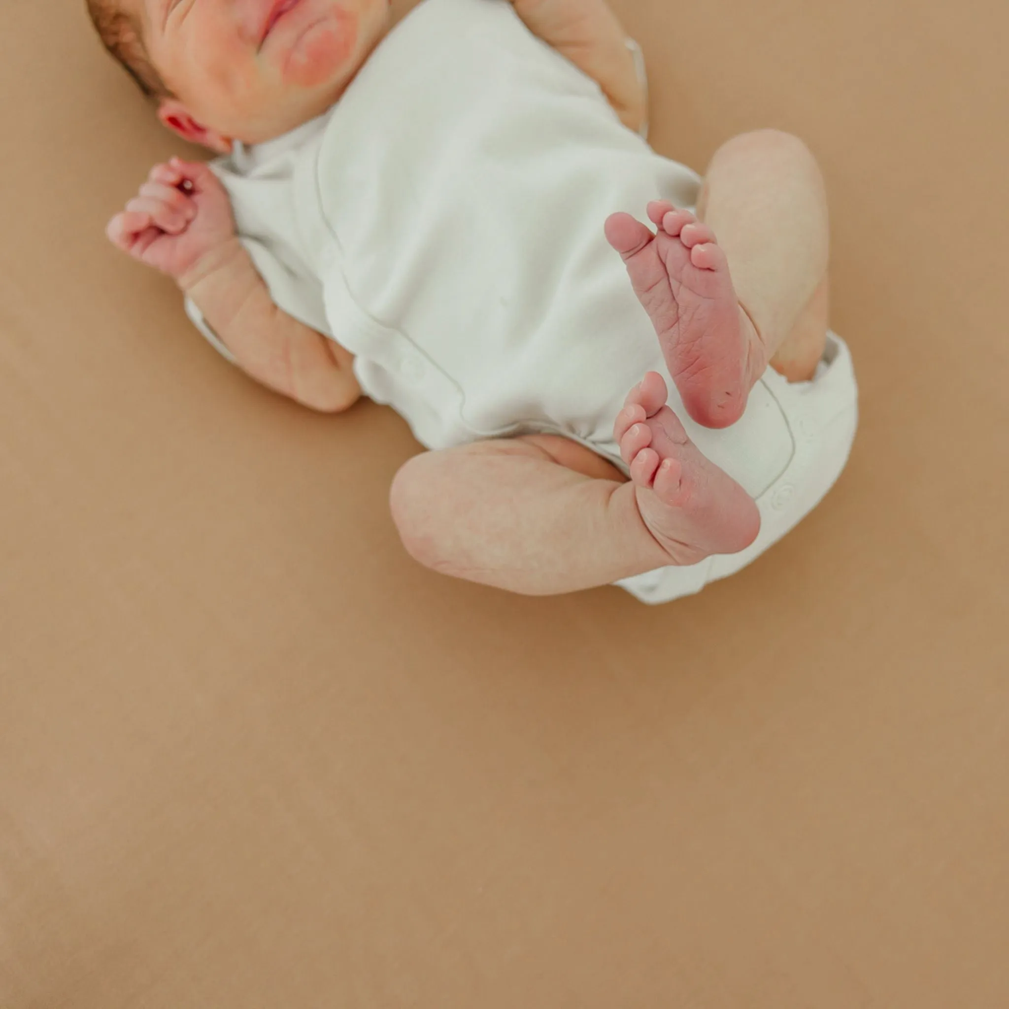 Premium Knit Fitted Crib Sheet - Pecan