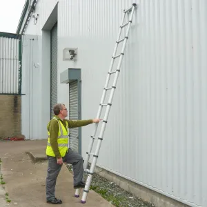 Telescopic Ladder