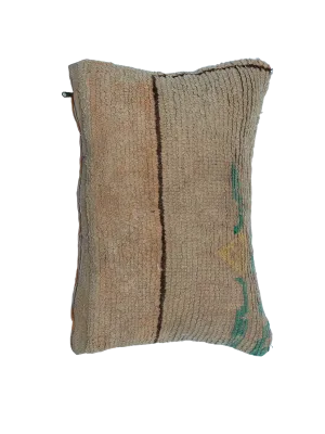 Vintage Talsint Pillow - Faded Neutral Hues