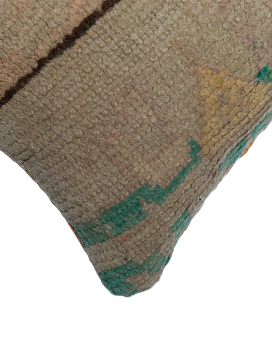 Vintage Talsint Pillow - Faded Neutral Hues