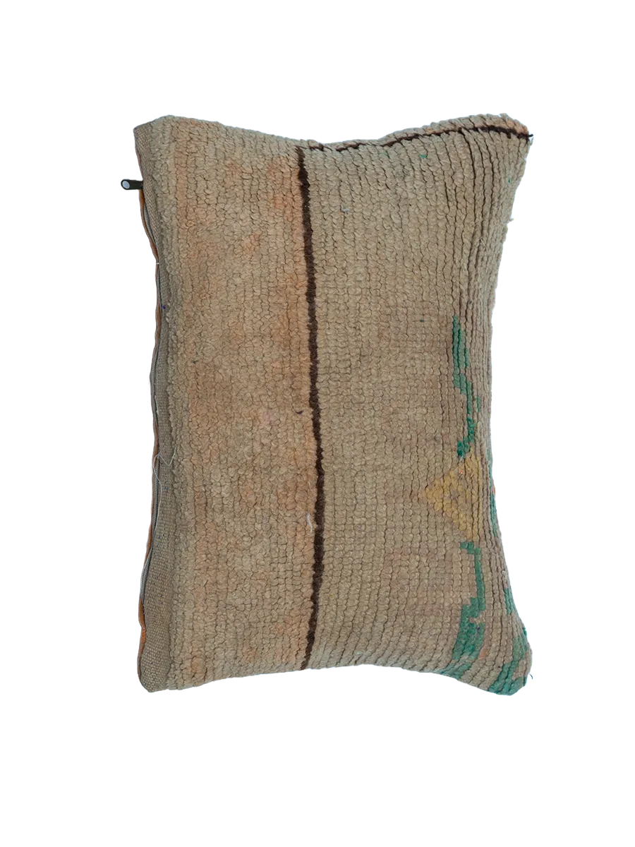 Vintage Talsint Pillow - Faded Neutral Hues