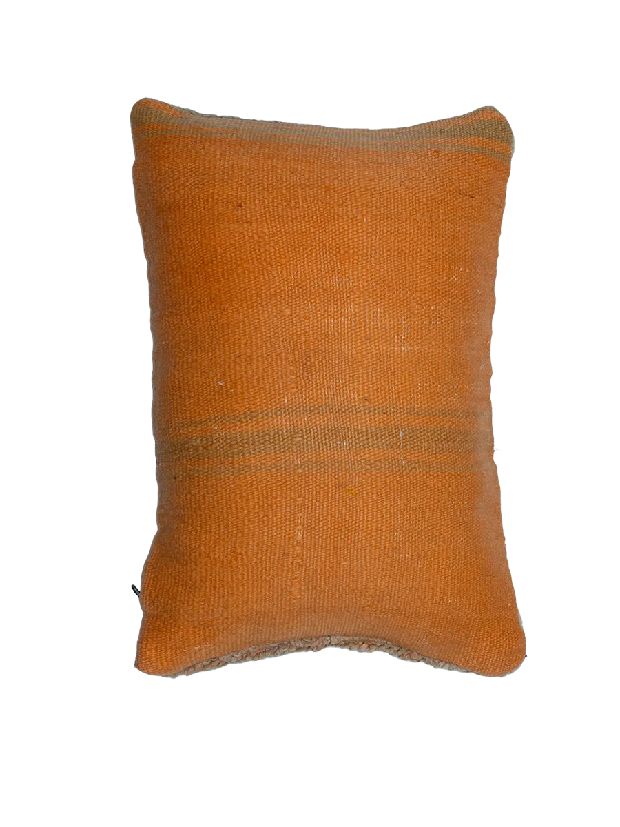 Vintage Talsint Pillow - Faded Neutral Hues